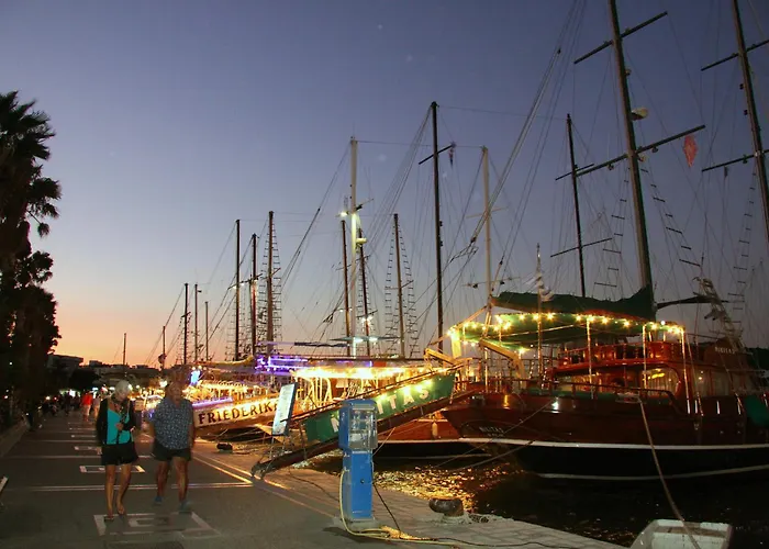 酒店 维罗尼基酒店